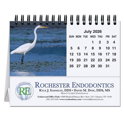 Bird Watching Tent Desk Calendar (5 13/16"x 4 ½")